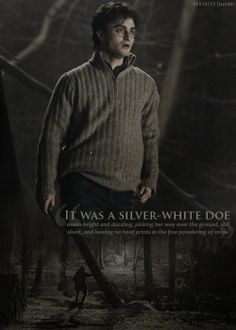 harry potter from the harry potter movie, it was a silver - white doe