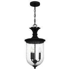 an outdoor hanging light with two lights on the front and back of it, in black