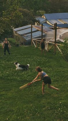 two people and a dog are playing in the grass with a baseball bat while another person watches