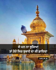 a blue bird sitting on top of a golden tower next to the water in india