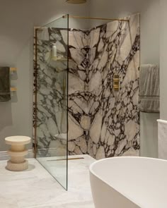 a bathroom with a marble shower and white bathtub next to a stand up shower