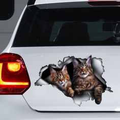 two cats looking out from behind a hole in the back of a white car,