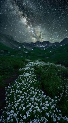 the night sky is filled with stars and clouds above some wildflowers in a field