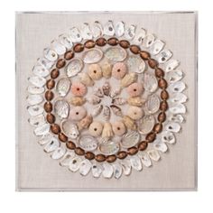 an art work with seashells and shells arranged in a circle