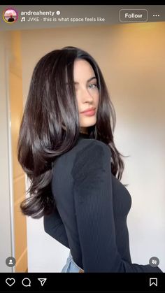 Victoria Villarroel Hair, Mid Back Hair Length, Long Hairstyles Dark Hair, Long Dark Hair Hairstyles, Layered Medium Long Hair, Chocolate Brown Hair Mid Length, Dark Brown Long Layers, Old Money Dark Hair, Dark Hair Layers Medium