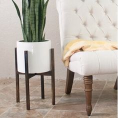 a potted plant sitting next to a white chair