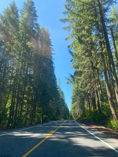 the road is lined with tall trees on both sides