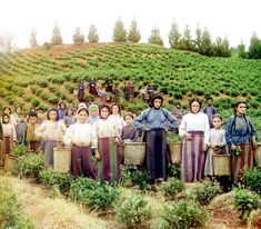 a group of people standing next to each other in a field