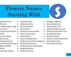 flowers names starting with the letter s in blue and white on a black and white background