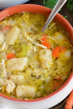 a bowl of chicken and dumpling soup with carrots