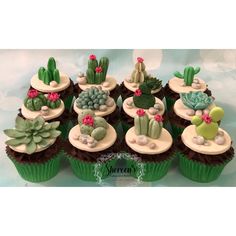 cupcakes made to look like cactus and succulents