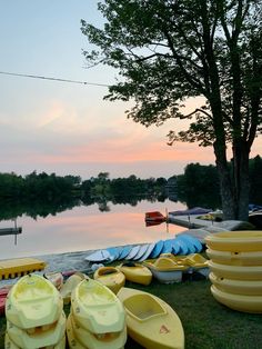 several canoes are lined up on the grass near some trees and water at sunset