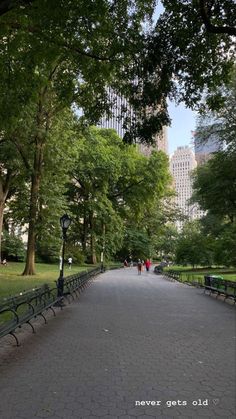 people are walking down the sidewalk in a park with benches and trees on both sides