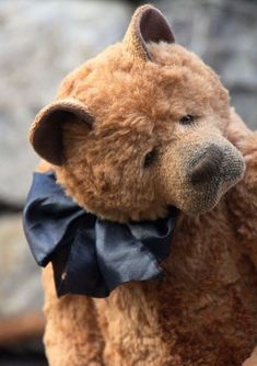 a brown teddy bear wearing a black bow tie