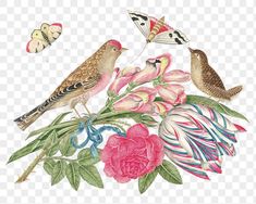 three birds sitting on top of flowers and butterflies