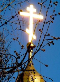 a cross is lit up in the sky above a tree with no leaves on it