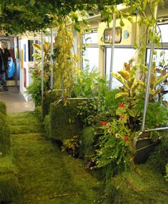 the inside of a train with plants growing on it