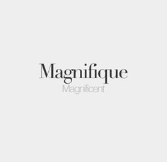 the word magnifique is written in black and white on a gray background