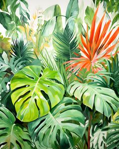 a painting of tropical plants and flowers on a white background with orange, green, and red leaves