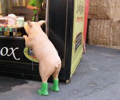 a toy pig standing in front of a vending machine