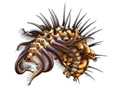 an image of a sea creature that is very large and has spikes on it's head