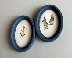 two blue plates with pressed flowers in them