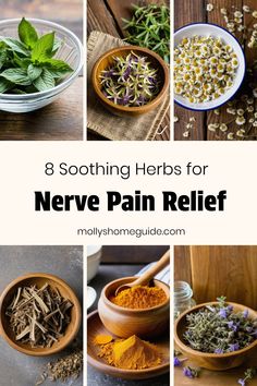 Holistic Nerve Healing, Natural Alternatives, Herbs For Nerve Pain, Herbs To Calm Nerves, Tea For Calming Nerves, Nerve Pain Essential Oils, Pain Relieving Herbs