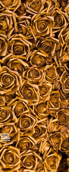 an abstract photograph of brown paper flowers