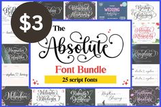 the absolute font bundle includes 25 script font styles