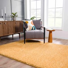 a living room with a couch, chair and rug