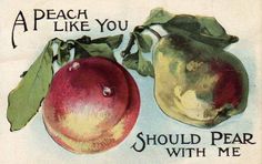 an old postcard with two peaches on it's side and the words, a peach like you should fear with me