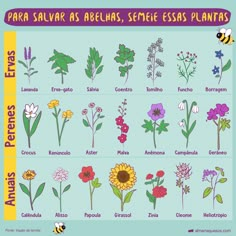 a poster with different types of flowers and plants in spanish, english and spanish language