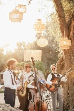 three men are playing instruments under the shade of a tree