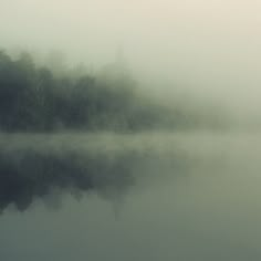 a foggy lake with trees in the distance