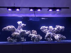 an aquarium filled with lots of rocks and water in front of two lights on the wall