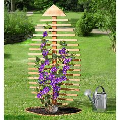 purple flowers are growing out of a hole in the ground next to a watering can