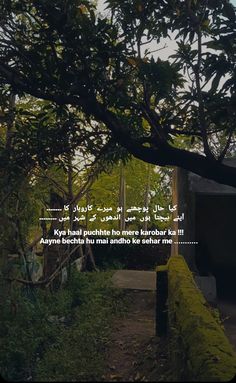 an image of a tree with a quote in arabic on the bottom right hand corner