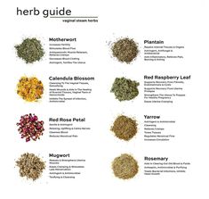 the herb guide is shown with different types of herbs