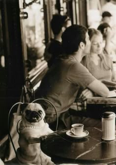 a pug dog sitting in front of a table with people eating and drinking at it