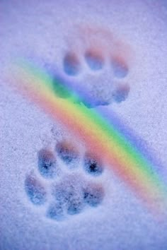 two paw prints in the snow with a rainbow coming out of them and a dog's paw print