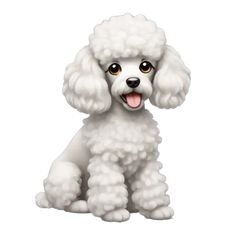 a small white poodle sitting down with its tongue out and it's eyes wide open