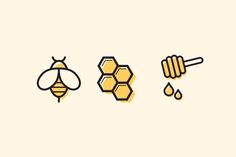 three honeycombs, one with a bee and the other with a drop of water