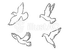 four doves flying in the air with their wings spread out and one bird has its beak