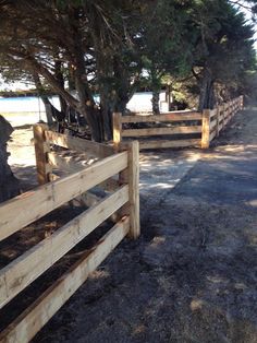 two wooden fenced in area with trees on both sides and dirt path between them