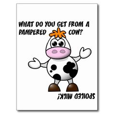 a cartoon cow with the words what do you get from a pampered cow?