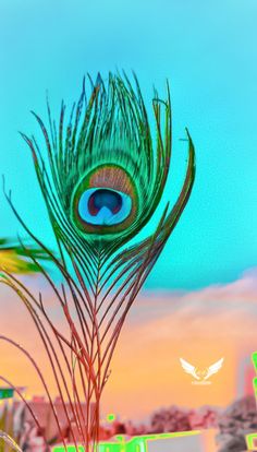 a peacock feather sitting on top of a vase filled with water and grass in front of a colorful sky