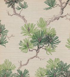 a wallpaper with pine trees and branches on it