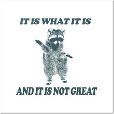 a raccoon with the words it's what its and it is not great