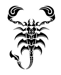 a black and white scorpion tattoo design