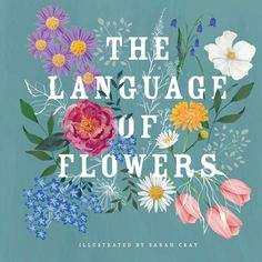 the language of flowers illustrated by susan gray